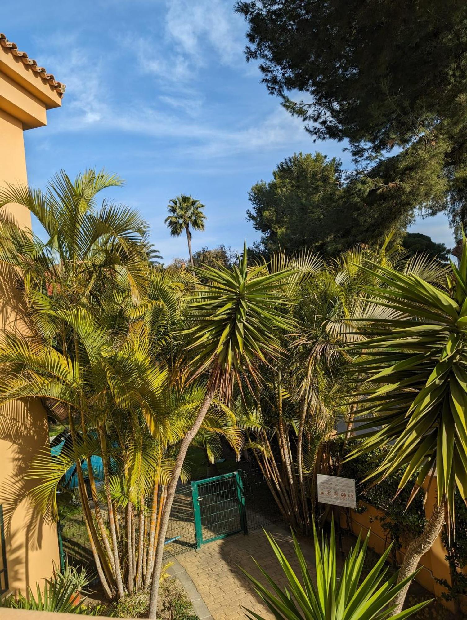 - Playa Alicate 2br Apartment